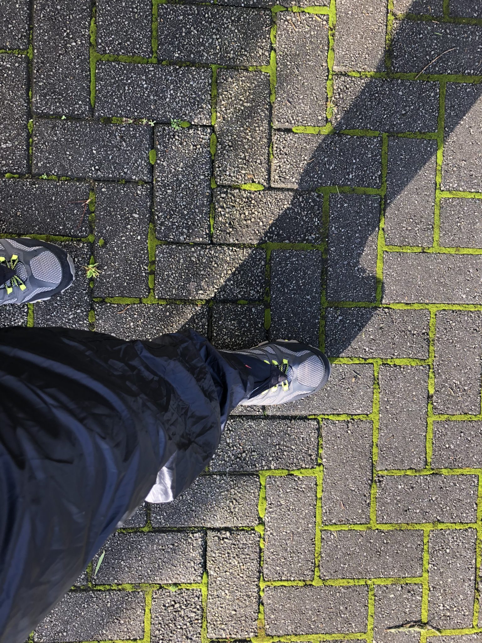 My first step