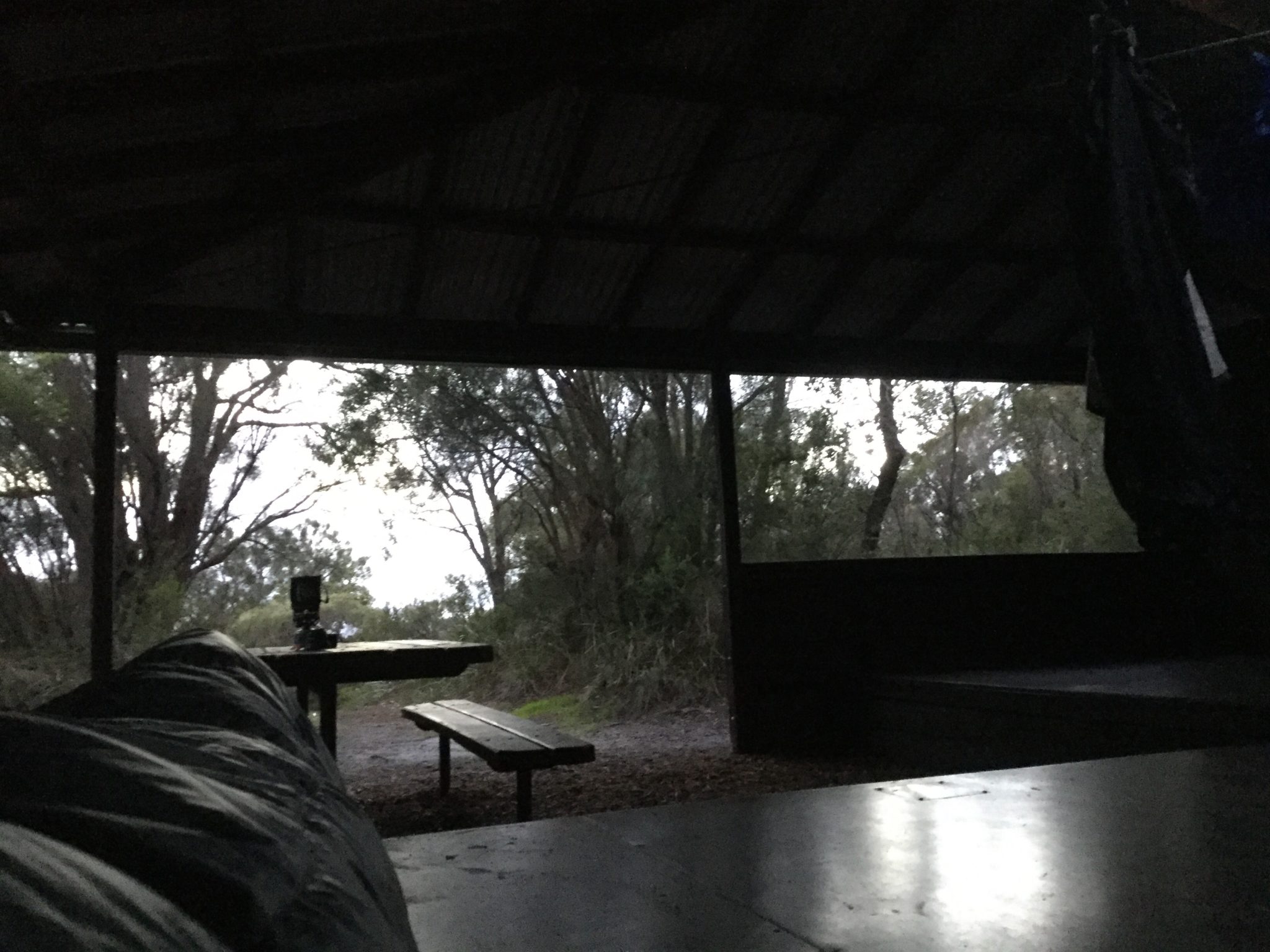 View from my sleeping bag Torbay hut